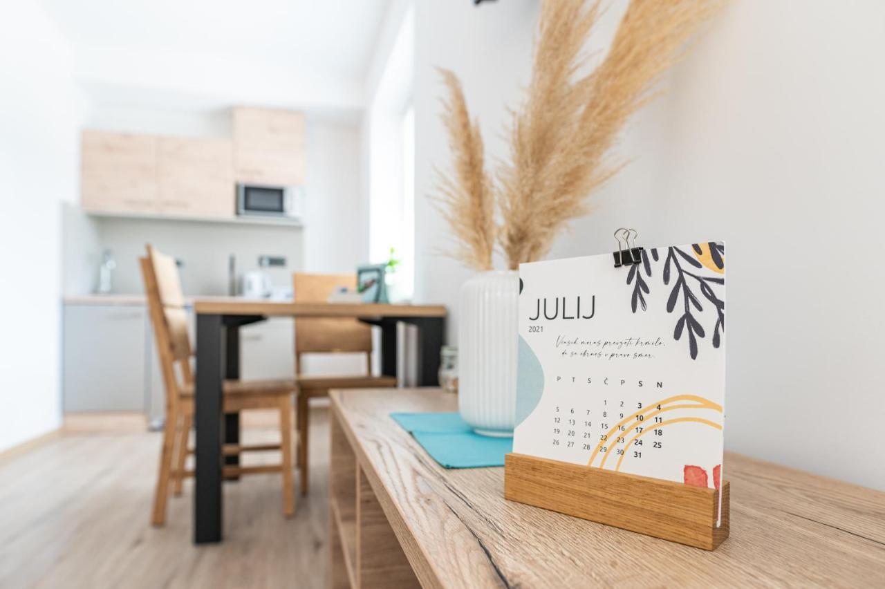 Apartmaji Mise Apartment Mezica ภายนอก รูปภาพ